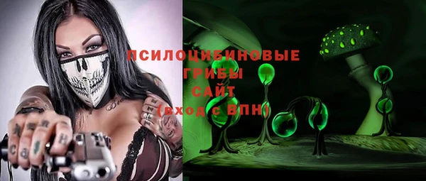 трава Бородино
