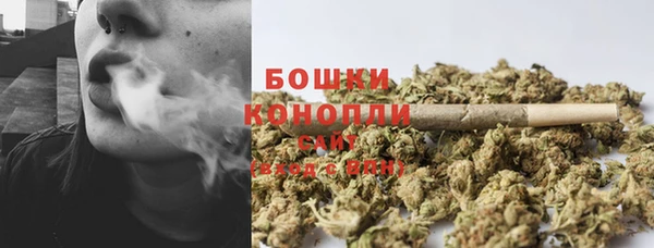 трава Бородино