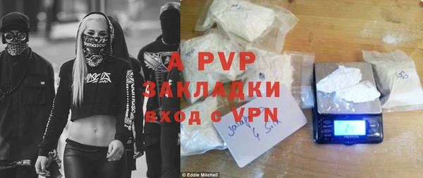 трава Бородино