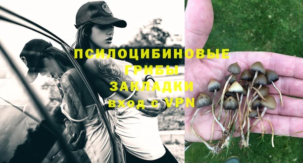 трава Бородино