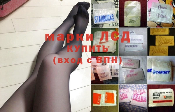 трава Бородино