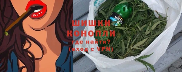 трава Бородино